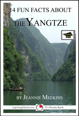 Cover of the book 14 Fun Facts About the Yangtze: Educational Version by Black and White Baby Books