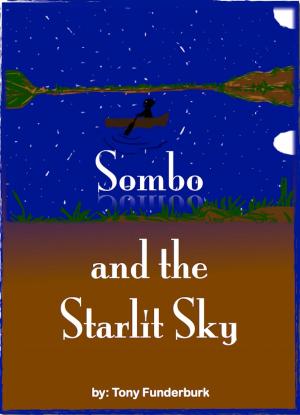 Book cover of Sombo And The Starlit Sky