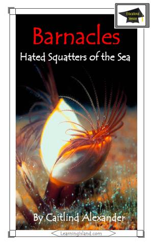 Cover of the book Barnacles: Hated Squatters of the Sea: Educational by Jeannie Meekins