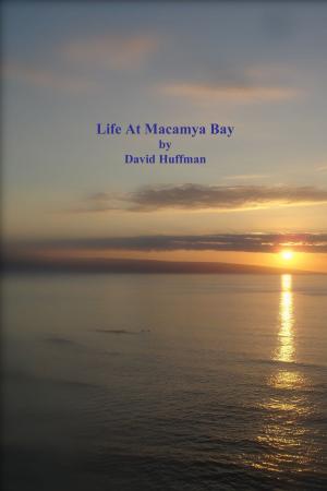 Cover of the book Life At Macamya Bay by Jarrett Rush