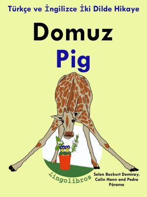 Cover of Türkçe ve İngilizce İki Dilde Hikaye: Domuz - Pig - İngilizce Öğrenme Serisi
