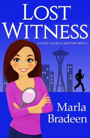 Book cover of Lost Witness