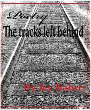 Book cover of The Tracks Left Behind