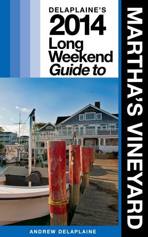 Book cover of Delaplaine’s 2014 Long Weekend Guide to Martha’s Vineyard