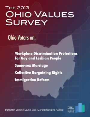 Cover of The 2013 Ohio Values Survey