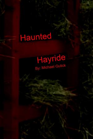 bigCover of the book Haunted Hayride by 