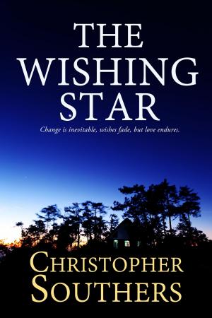 Cover of the book The Wishing Star by Rob Duder