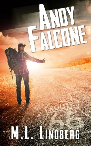 Cover of Andy Falcone