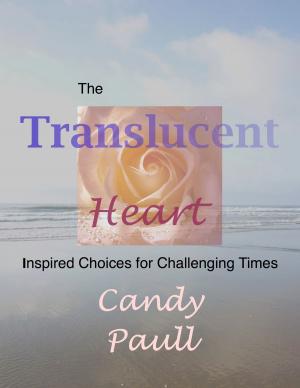 Book cover of The Translucent Heart: Inspired Choices for Challenging Times