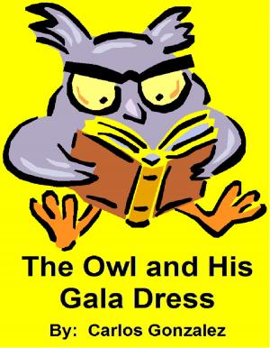 bigCover of the book The Owl and His Gala Dress by 