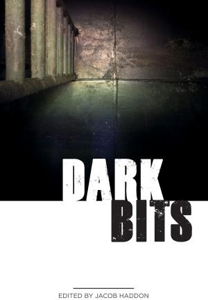 Cover of the book Dark Bits by Richard Chizmar, Ray Garton, Brian Keene