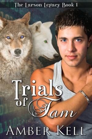 bigCover of the book Trials of Tam by 