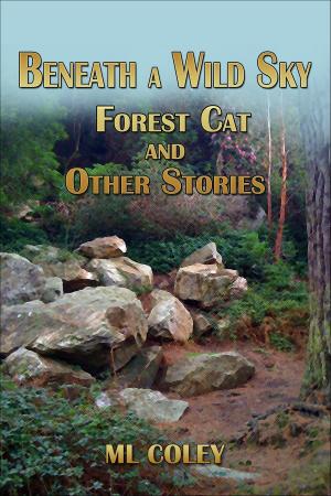 bigCover of the book Beneath a Wild Sky: Forest Cat and Other Stories by 