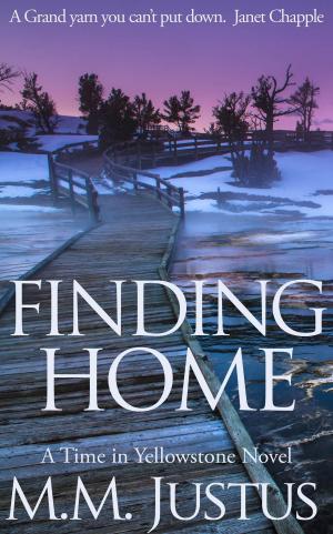 Cover of the book Finding Home by Arthur L'Strange
