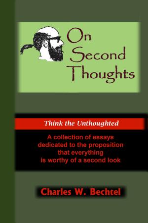 Book cover of On Second Thoughts