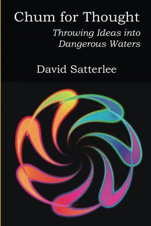 Cover of the book Chum for Thought: Throwing Ideas into Dangerous Waters by Evan Weiner