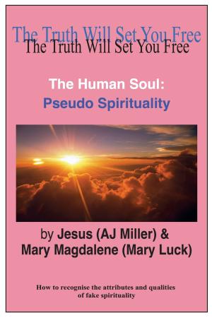 Book cover of The Human Soul: Pseudo Spirituality