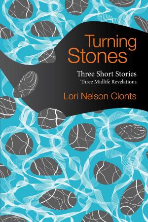 Cover of the book Turning Stones by Becca St. John