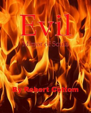 Cover of the book Evil: Mirror of Souls by Tony Richards