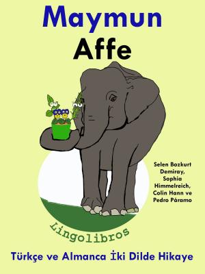 Book cover of Türkçe ve Almanca İki Dilde Hikaye: Maymun - Affe - Almanca Öğrenme Serisi