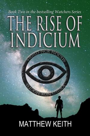 Cover of the book The Rise of Indicium by M.D.Linzenmeyer