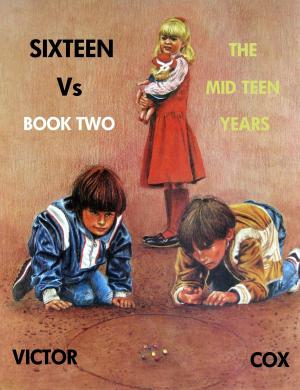 Book cover of SIXTEEN Vs, Book Two, The Mid Teen Years