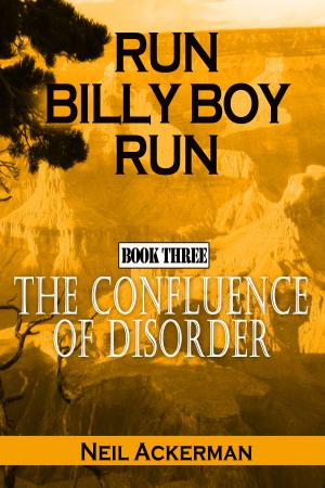 Cover of the book Run Billy Boy Run, Book Three: The Confluence of Disorder by Bruce Jenvey