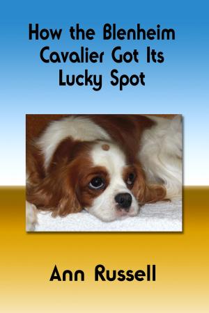 Book cover of How the Blenheim Cavalier Got Its Lucky Spot