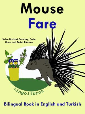 Book cover of Bilingual Book in English and Turkish: Mouse - Fare - Learn Turkish Series