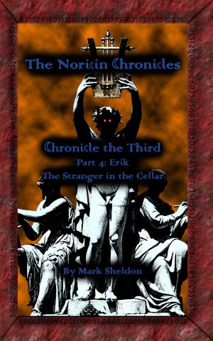 Book cover of The Noricin Chronicles: Erik
