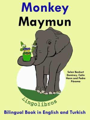Cover of Bilingual Book in English and Turkish: Monkey - Maymun - Learn Turkish Series
