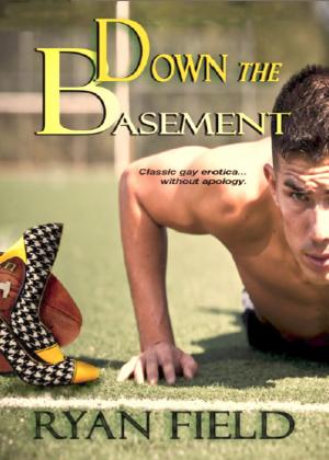 Book cover of Down The Basement