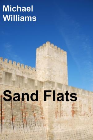 Book cover of Sand Flats