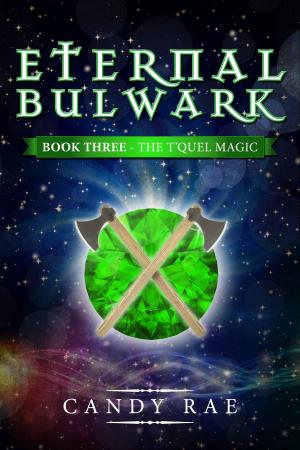 Cover of the book Eternal Bulwark by David Sherman