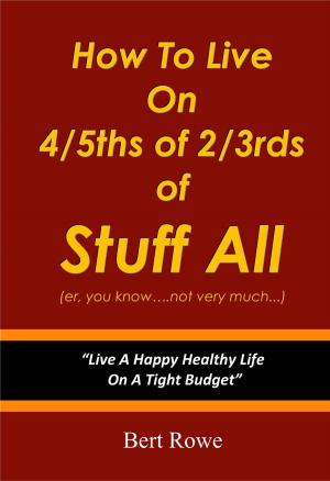 Cover of the book How To Live On 4/5ths Of 2/3rds Of Stuff All by IntroBooks