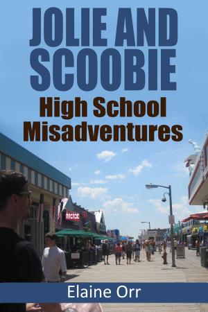 Book cover of Jolie and Scoobie High School Misadventures