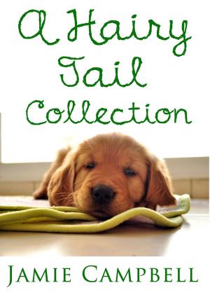 Book cover of A Hairy Tail Collection