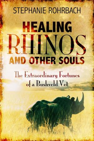 Cover of the book Healing Rhinos and Other Souls: The Extraordinary Fortunes of a Bushveld Vet by Rob Walters