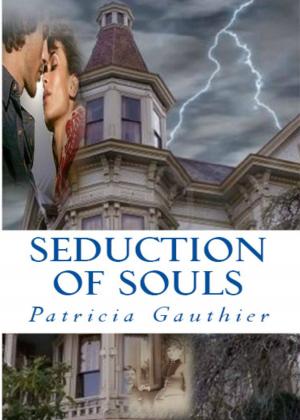Cover of the book Seduction of Souls by Arlo Mercia
