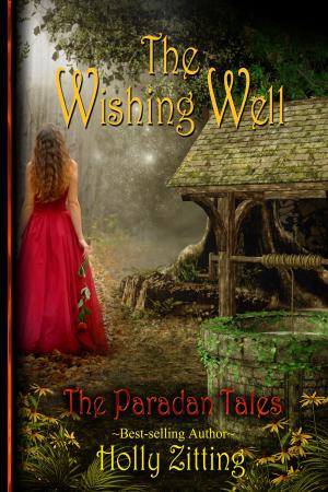 Cover of the book The Wishing Well by Jennifer Estep