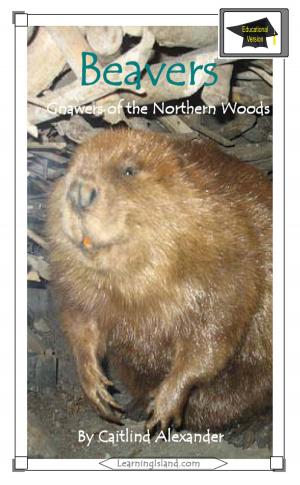 Cover of the book Beavers: Gnawers of the Northern Woods: Educational Version by Judith Janda Presnall