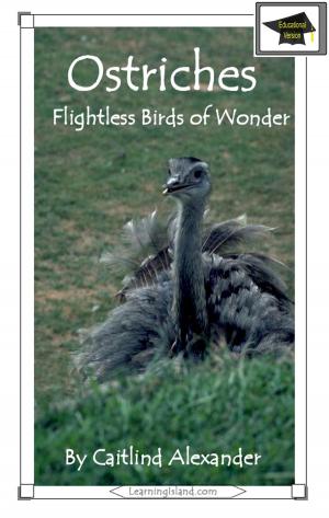 Book cover of Ostriches: Flightless Birds of Wonder: Educational Version