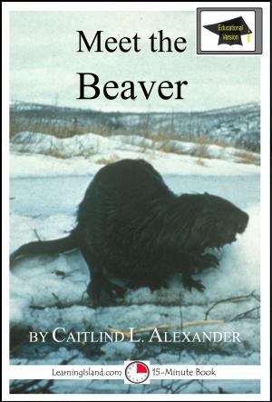 Cover of the book Meet the Beaver: Educational Version by Cullen Gwin