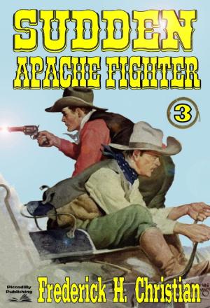 Cover of the book Sudden 3: Sudden - Apache Fighter by Frederick H. Christian