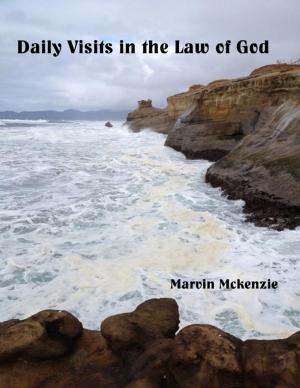 Cover of the book Daily Visits in the Law of God by Anthony Ekanem