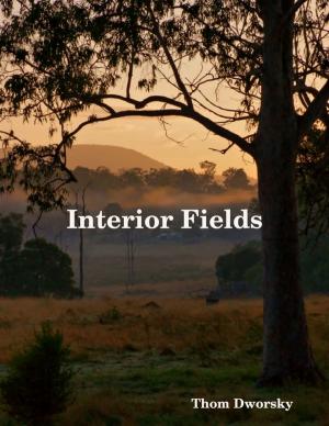 Cover of the book Interior Fields by J.D Evies