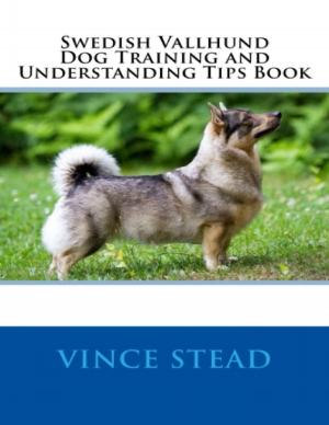 Cover of the book Swedish Vallhund Dog Training and Understanding Tips Book by Rock Page