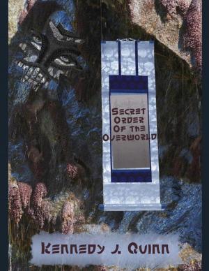 Cover of the book Secret Order of the Overworld by Karen Cicero