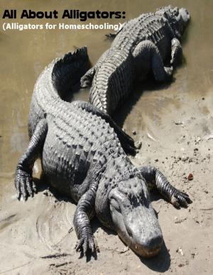 Cover of the book All About Alligators: (Alligators for Homeschooling) by Vanessa Carvo