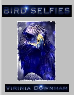 Book cover of Bird Selfies